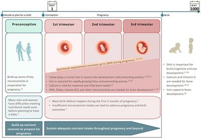 Real-world insights on nutritional awareness and behaviors among preconception and pregnant women in three Asia Pacific countries